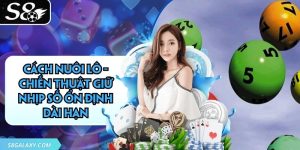 Cách Nuôi Lô - Chiến Thuật Giữ Nhịp Số Ổn Định Dài Hạn