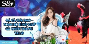 Đá Gà Cựa Dao – Toàn Bộ Bí Kíp Giúp Gà Chiến Thắng Tại S8