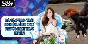 Đá Gà Sv388- Trải Nghiệm Đỉnh Cao Người Chơi Trực Tuyến