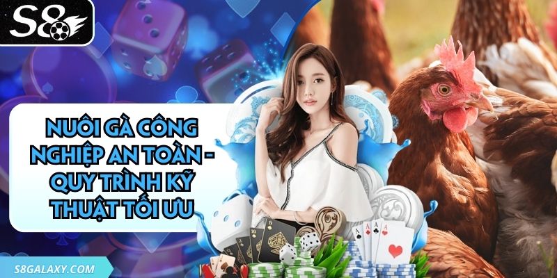 Nuôi Gà Công Nghiệp An Toàn - Quy Trình Kỹ Thuật Tối Ưu