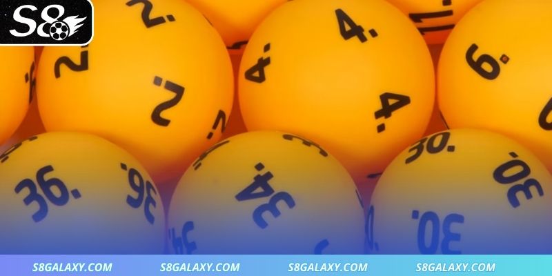 Tìm hiểu về cách nuôi lô tại S8